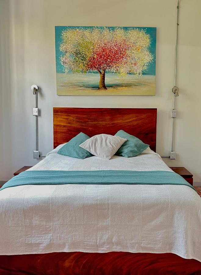 Hotel Boutique Casa Degollado Colima Extérieur photo